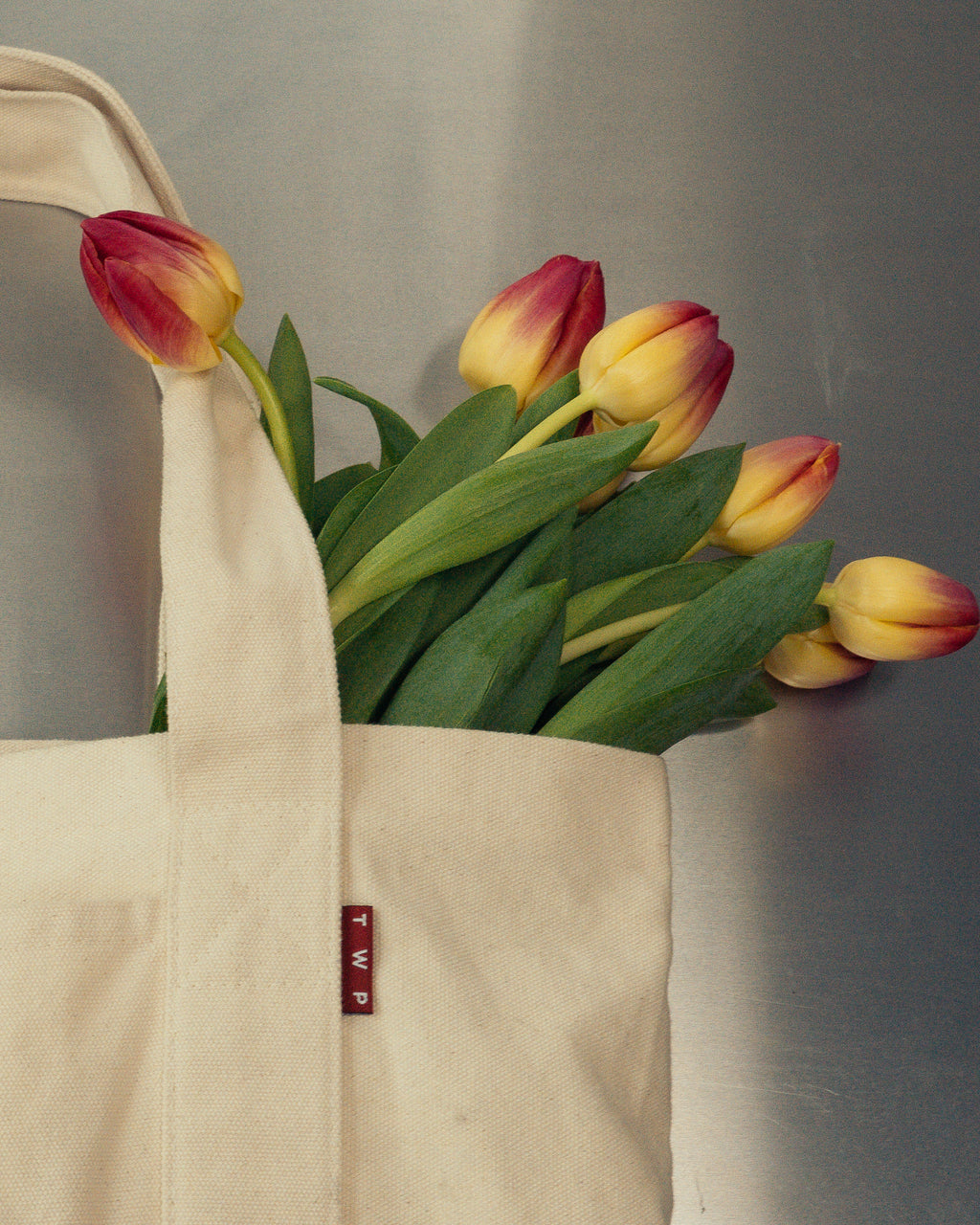 TWP Tote Bag